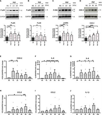 Prostaglandin F2α requires activation of calcium-dependent signalling to trigger inflammation in human myometrium